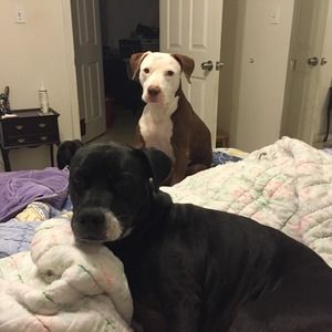 Meet your Posher, Thomas